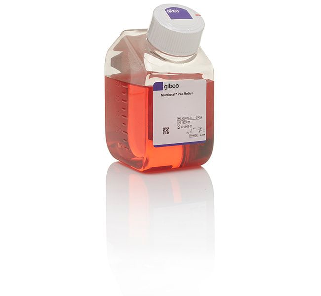 Thermo Fisher Scientific Gibco Neurobasal Plus Medium