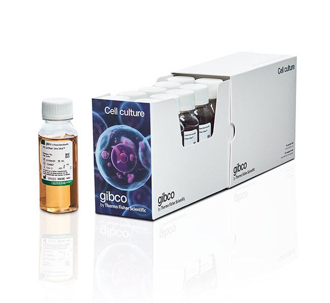 Thermo Fisher Scientific Gibco Fetal Bovine Serum, qualified, heat inactivated, United States