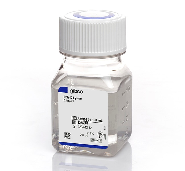 Thermo Fisher Scientific Gibco Poly-D-Lysine