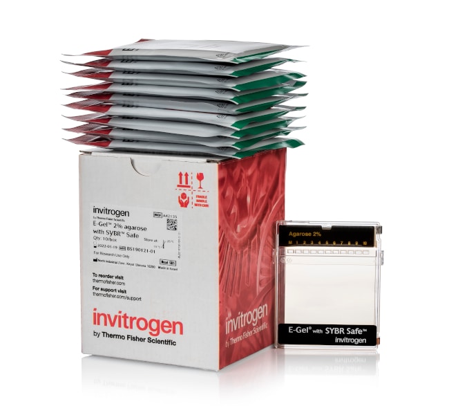 Thermo Fisher Scientific E-Gel Agarose Gels with SYBR Safe DNA Gel Stain