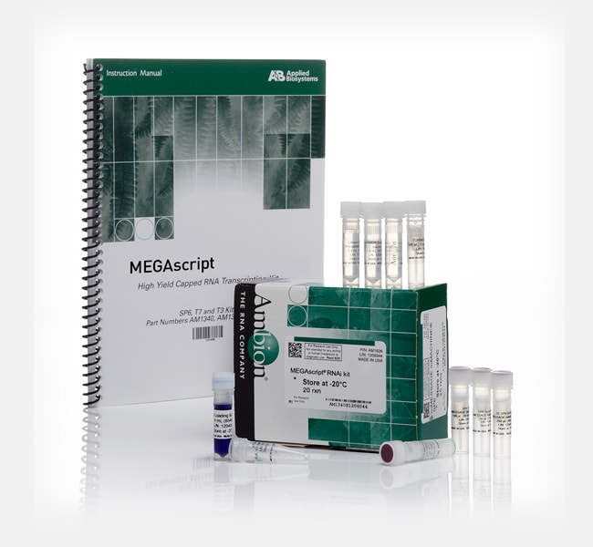 Thermo Fisher Scientific Invitrogen MEGAscript RNAi Kit