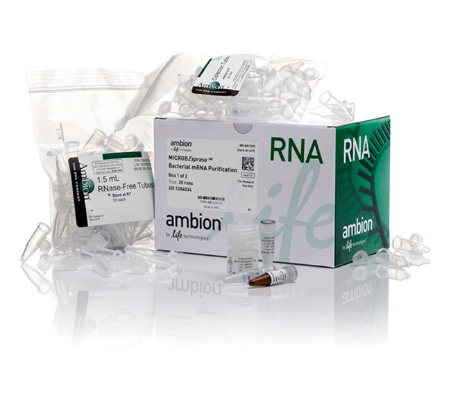 Thermo Fisher Scientific Invitrogen MICROBExpress Bacterial mRNA Enrichment Kit