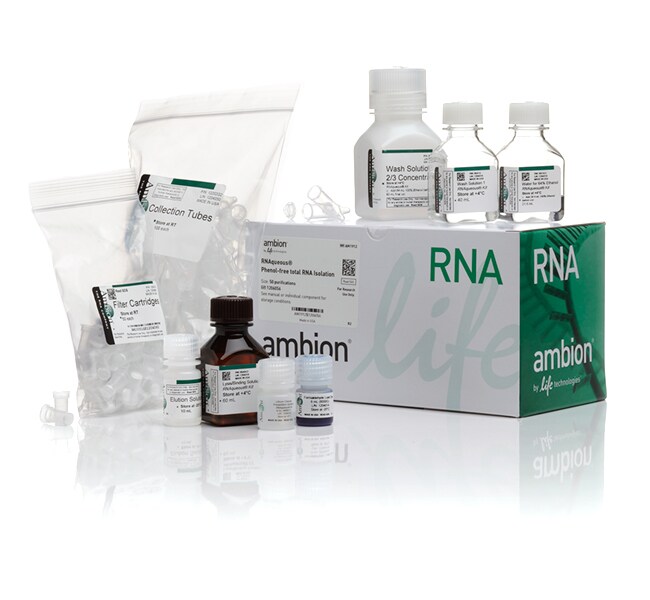 Thermo Fisher Scientific Invitrogen RNAqueous Total RNA Isolation Kit