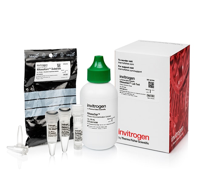 Thermo Fisher Scientific Invitrogen RNaseAlert Lab Test Kit