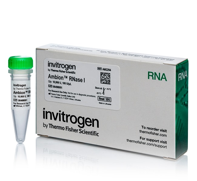 Thermo Fisher Scientific Invitrogen Ambion RNase I, cloned, 100 U/μL