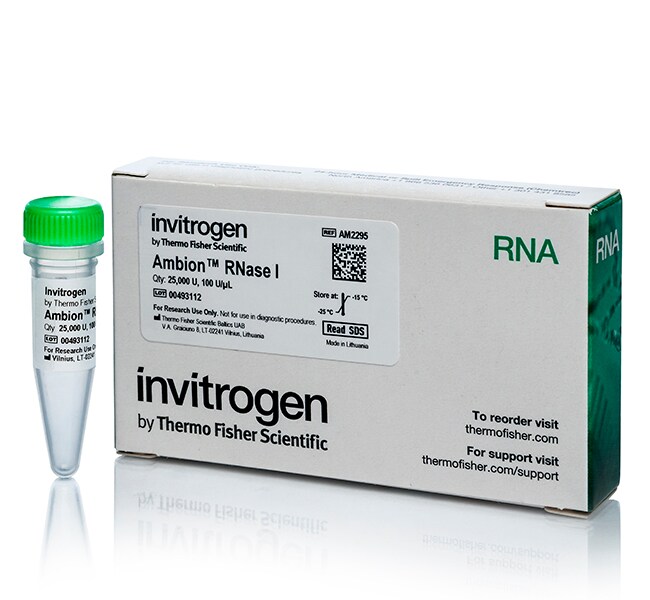Thermo Fisher Scientific Invitrogen Ambion RNase I, cloned, 100 U/μL