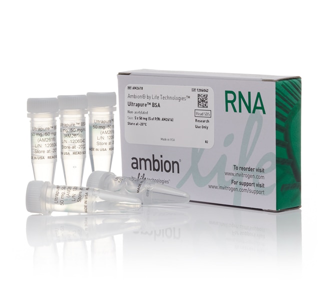 Thermo Fisher Scientific Invitrogen UltraPure BSA (50 mg/mL)