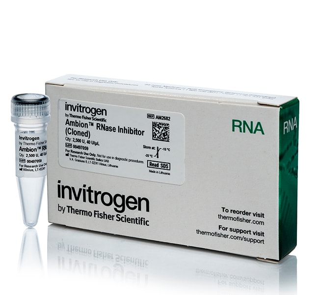Thermo Fisher Scientific Invitrogen Ambion RNase Inhibitor, cloned, 40 U/μL