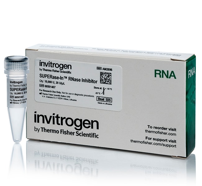 Thermo Fisher Scientific Invitrogen SUPERase·In RNase Inhibitor (20 U/μL)