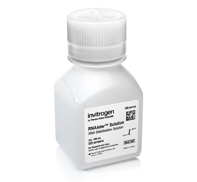 Thermo Fisher Scientific Invitrogen RNAlater Stabilization Solution