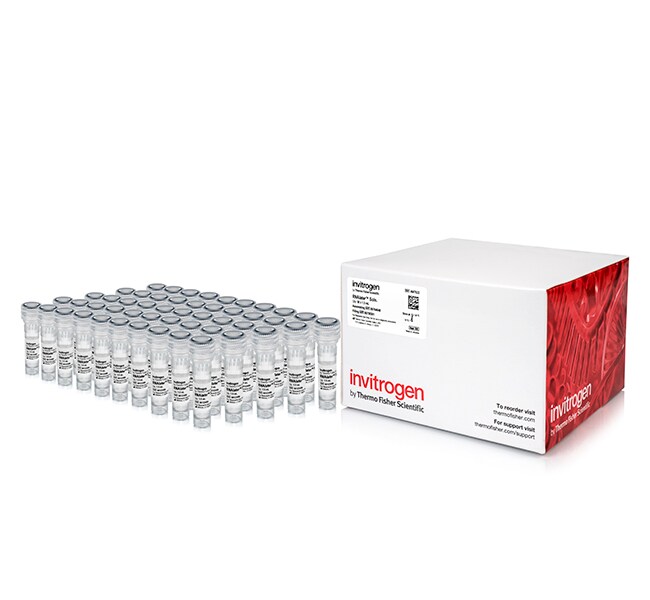 Thermo Fisher Scientific Invitrogen RNAlater Stabilization Solution