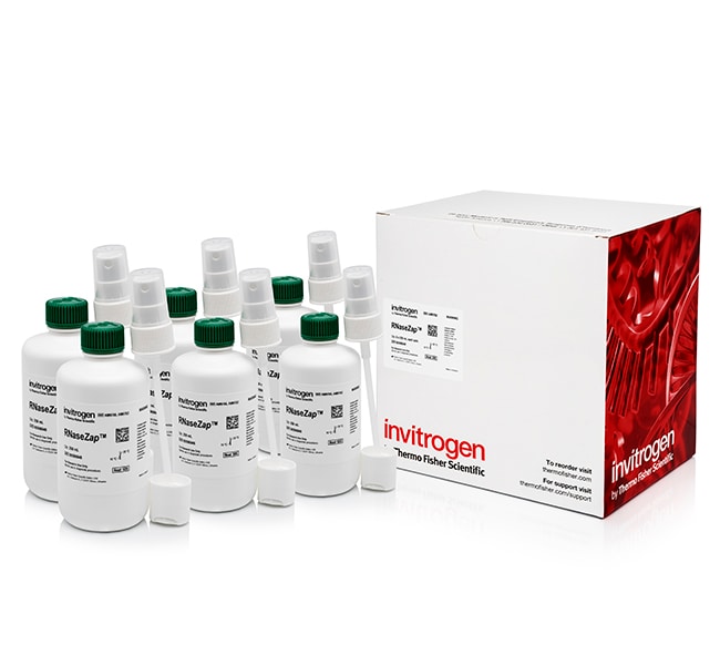 Thermo Fisher Scientific Invitrogen RNaseZap RNase Decontamination Solution