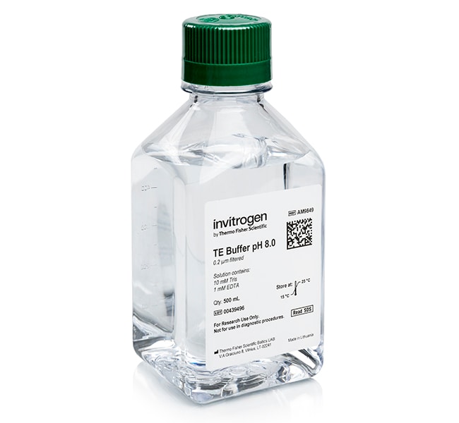 Thermo Fisher Scientific Invitrogen TE, pH 8.0, RNase-free