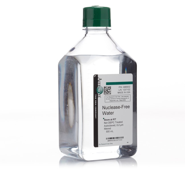 Thermo Fisher Scientific Invitrogen Nuclease-Free Water (not DEPC-Treated)