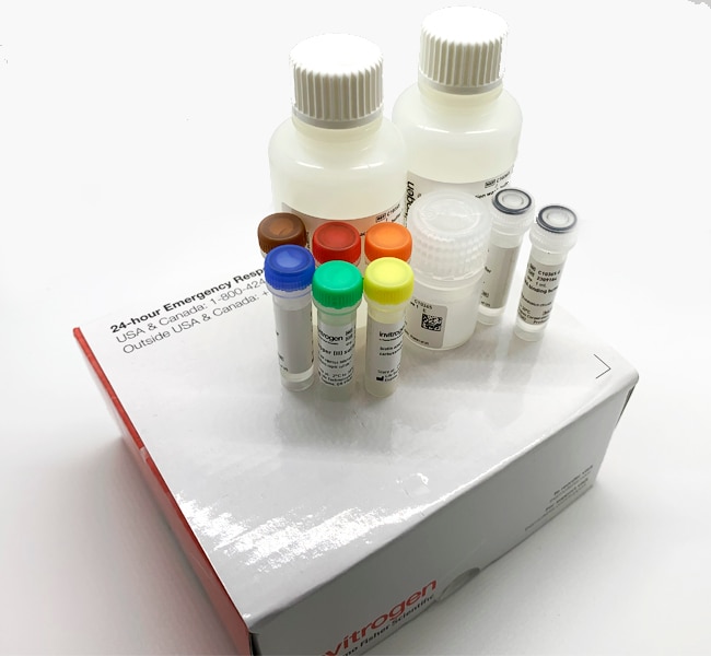 Thermo Fisher Scientific Invitrogen Click-iT Nascent RNA Capture Kit, for gene expression analysis