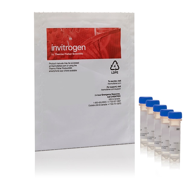 Thermo Fisher Scientific Invitrogen CellROX Deep Red Reagent, for oxidative stress detection