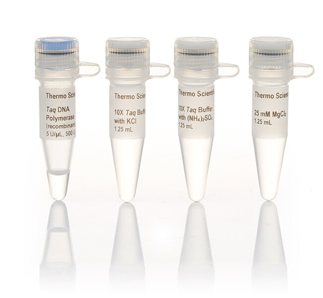 Thermo Fisher ScientificTaq DNA Polymerase, recombinant (5 U/μL)