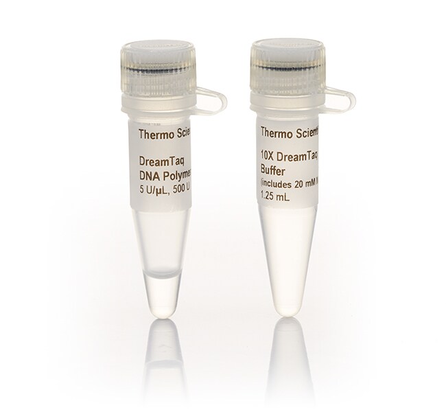 Thermo Fisher ScientificDreamTaq DNA Polymerase (5 U/μL)