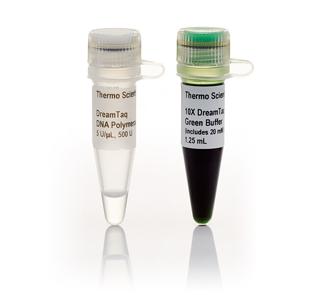 Thermo Fisher ScientificDreamTaq DNA Polymerase (5 U/μL)