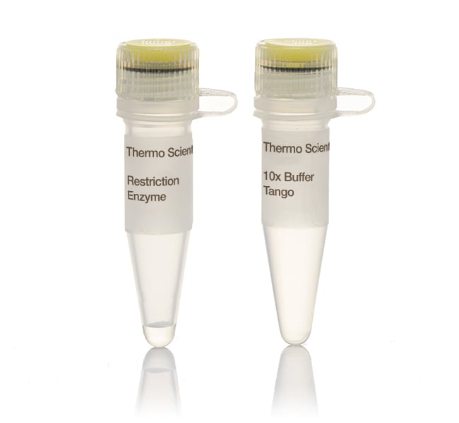Thermo Fisher Scientific NcoI (10 U/uL), 500 Units