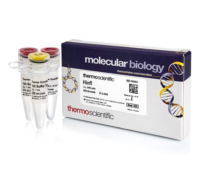 Thermo Fisher Scientific HinfI (10 U/μL) (2,000 Units)