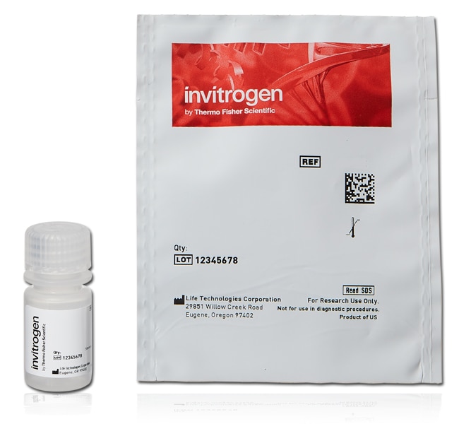 Thermo Fisher Scientific Invitrogen FluoSpheres Carboxylate-Modified Microspheres