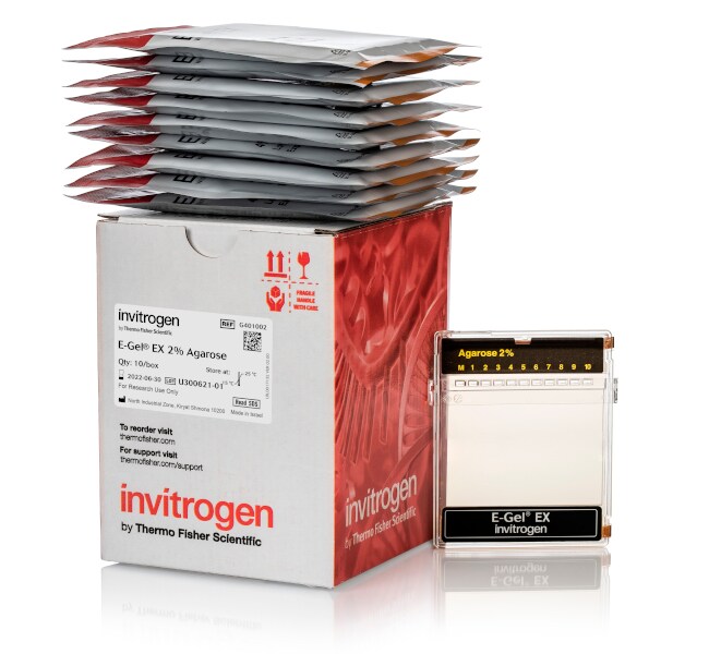 Thermo Fisher Scientific E-Gel EX Agarose Gels