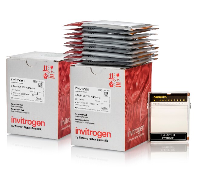 Thermo Fisher Scientific E-Gel EX Agarose Gels