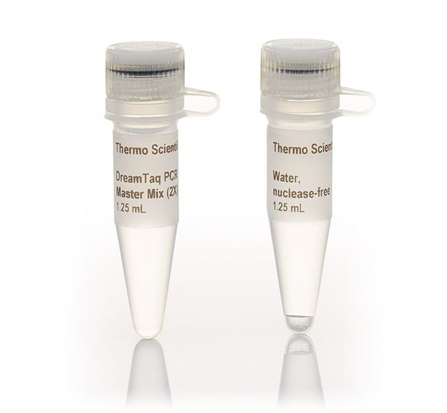 Thermo Fisher ScientificDreamTaq PCR Master Mixes (2X)