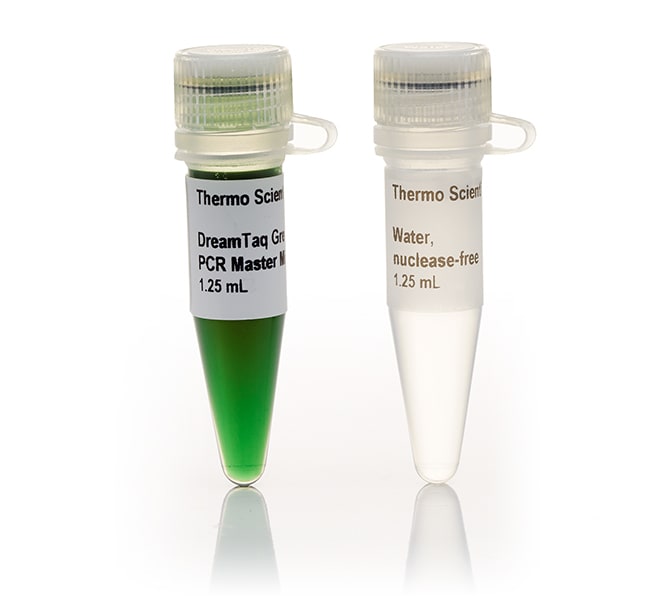 Thermo Fisher ScientificDreamTaq PCR Master Mixes (2X)