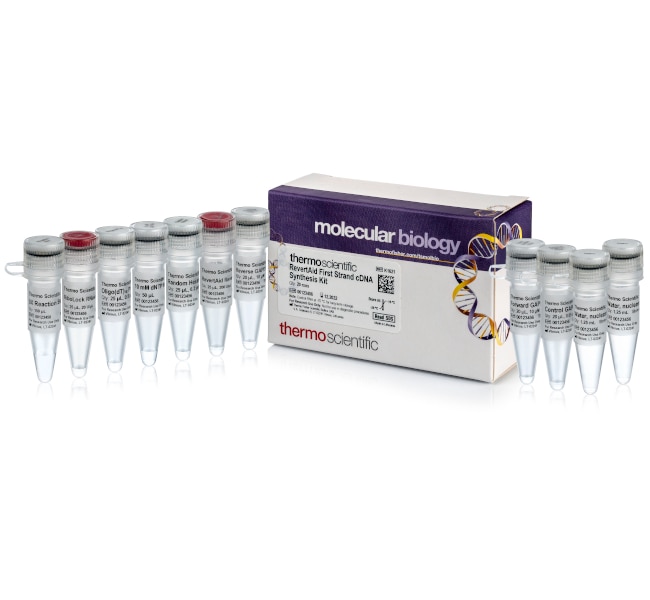 Thermo Fisher Scientific RevertAid First Strand cDNA Synthesis Kit