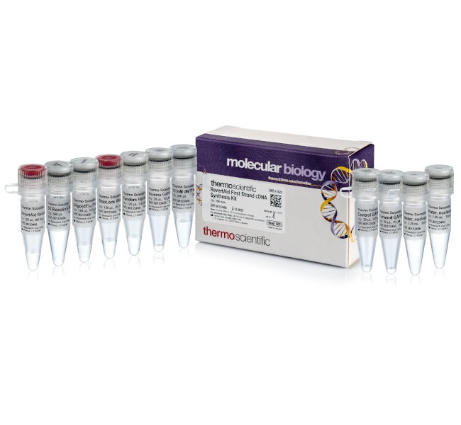 Thermo Fisher Scientific RevertAid First Strand cDNA Synthesis Kit