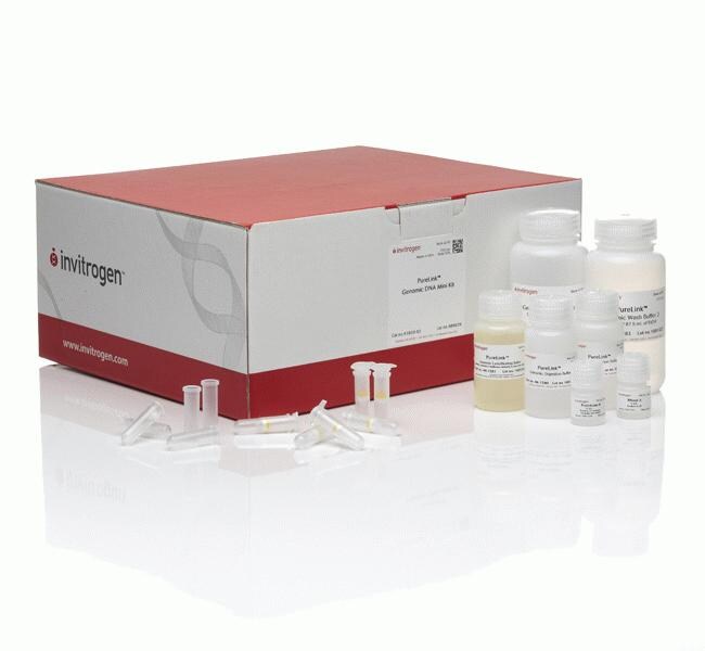 Thermo Fisher Scientific Invitrogen PureLink Genomic DNA Mini Kit