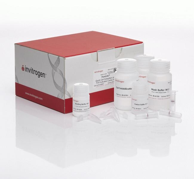 Thermo Fisher Scientific Invitrogen PureLink Quick Gel Extraction and PCR Purification Combo Kit