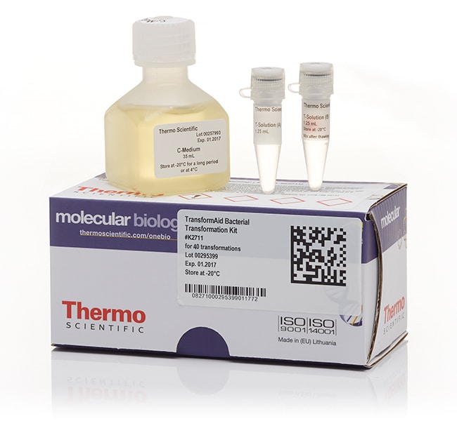 Thermo Fisher Scientific  TransformAid Bacterial Transformation Kit