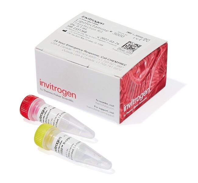 Thermo Fisher Scientific Invitrogen Lipofectamine 3000 Transfection Reagent