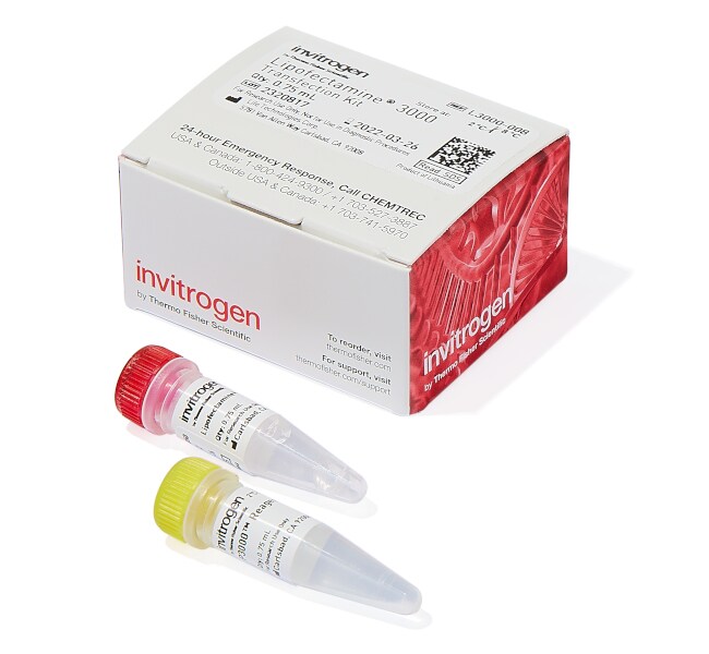 Thermo Fisher Scientific Invitrogen Lipofectamine 3000 Transfection Reagent