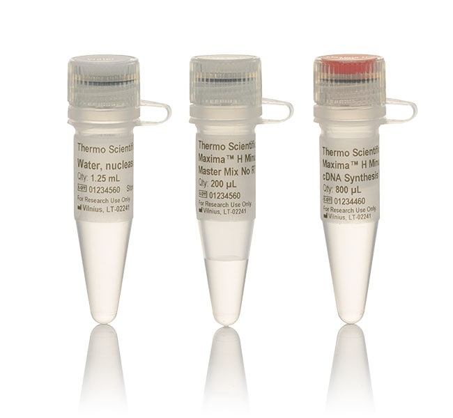 Thermo Fisher Scientific  Maxima H Minus cDNA Synthesis Master Mix