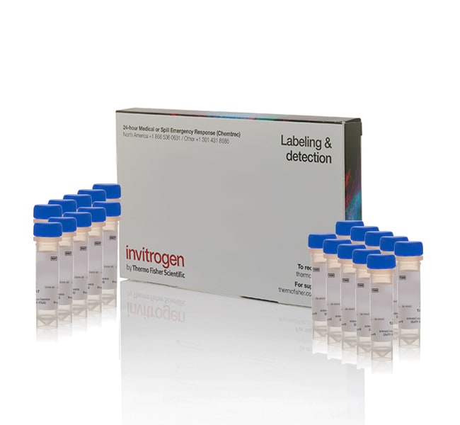 Thermo Fisher Scientific Invitrogen MitoTracker Dyes for Mitochondria Labeling
