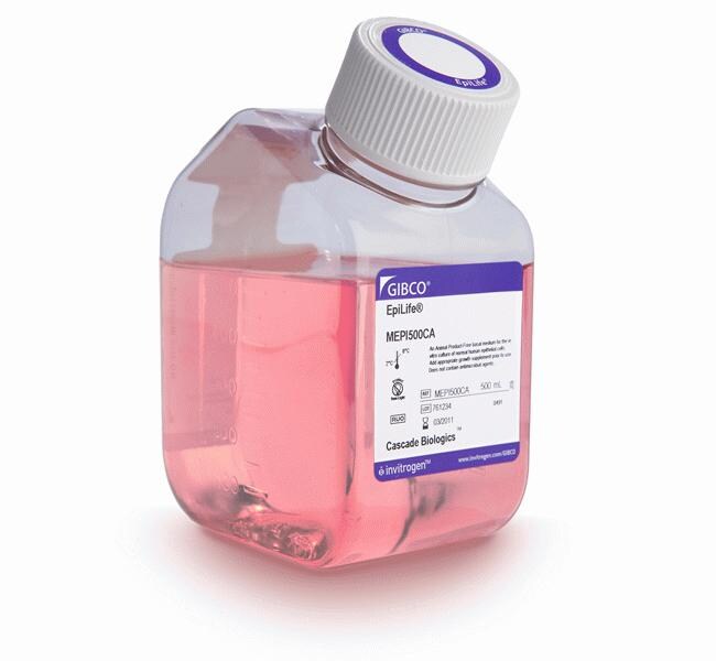 Thermo Fisher Scientific Gibco EpiLife Medium, with 60 μM calcium