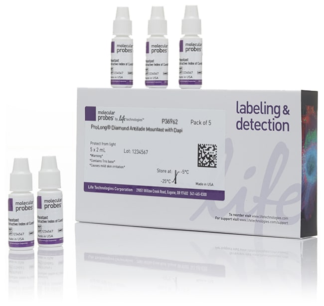 Thermo Fisher Scientific ProLong Diamond Antifade Mountant with DAPI