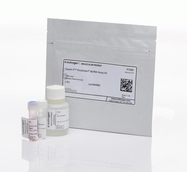 Thermo Fisher Scientific Quant-iT PicoGreen dsDNA Assay Kit, 1 mL kit