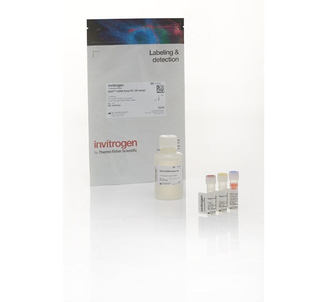 Thermo Fisher Scientific Qubit ssDNA Assay Kit, 100 Rxns