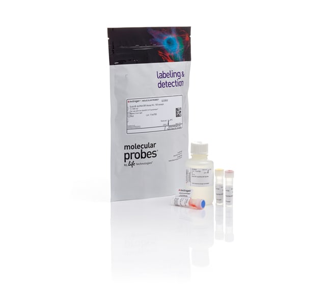 Thermo Fisher Scientific Qubit dsDNA Quantification Assay Kit, 100 Rxns