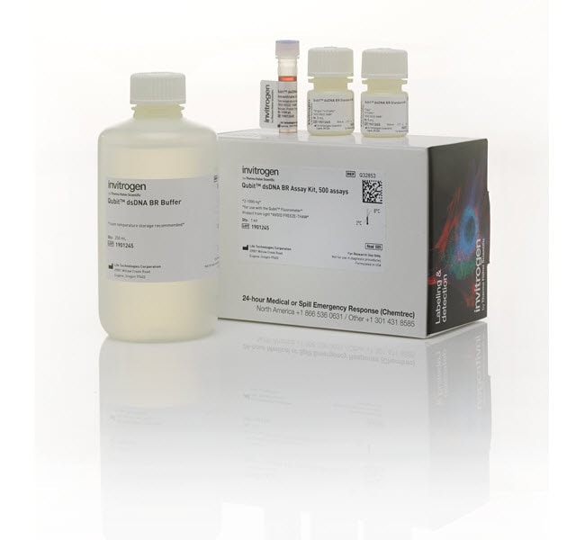 Thermo Fisher Scientific Qubit dsDNA Quantification Assay Kit (500)