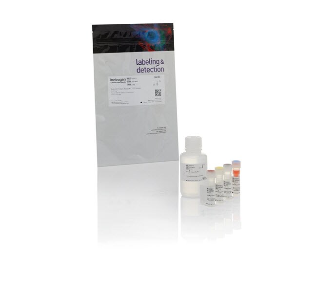 Thermo Fisher Scientific Qubit Protein and Protein Broad Range Assay Kits, 100 Rxns