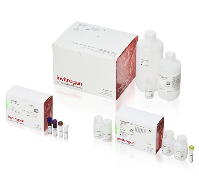 Thermo Fisher Scientific  ViewRNA Tissue Assay Fluorescence Kits