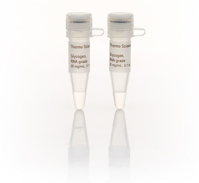Thermo Fisher Scientific  Glycogen, RNA grade