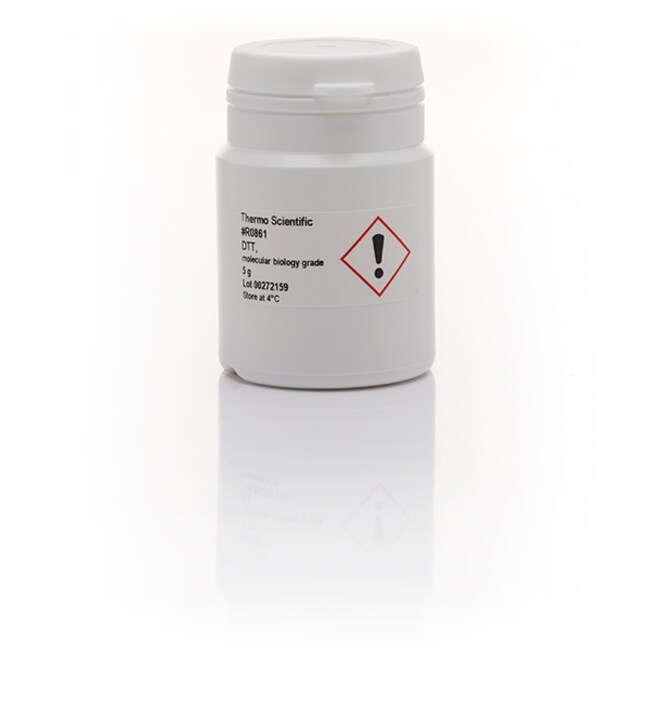 Thermo Fisher Scientific  DTT (dithiothreitol)