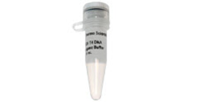 Thermo Fisher ScientificMgCl2 (magnesium chloride) (25 mM)